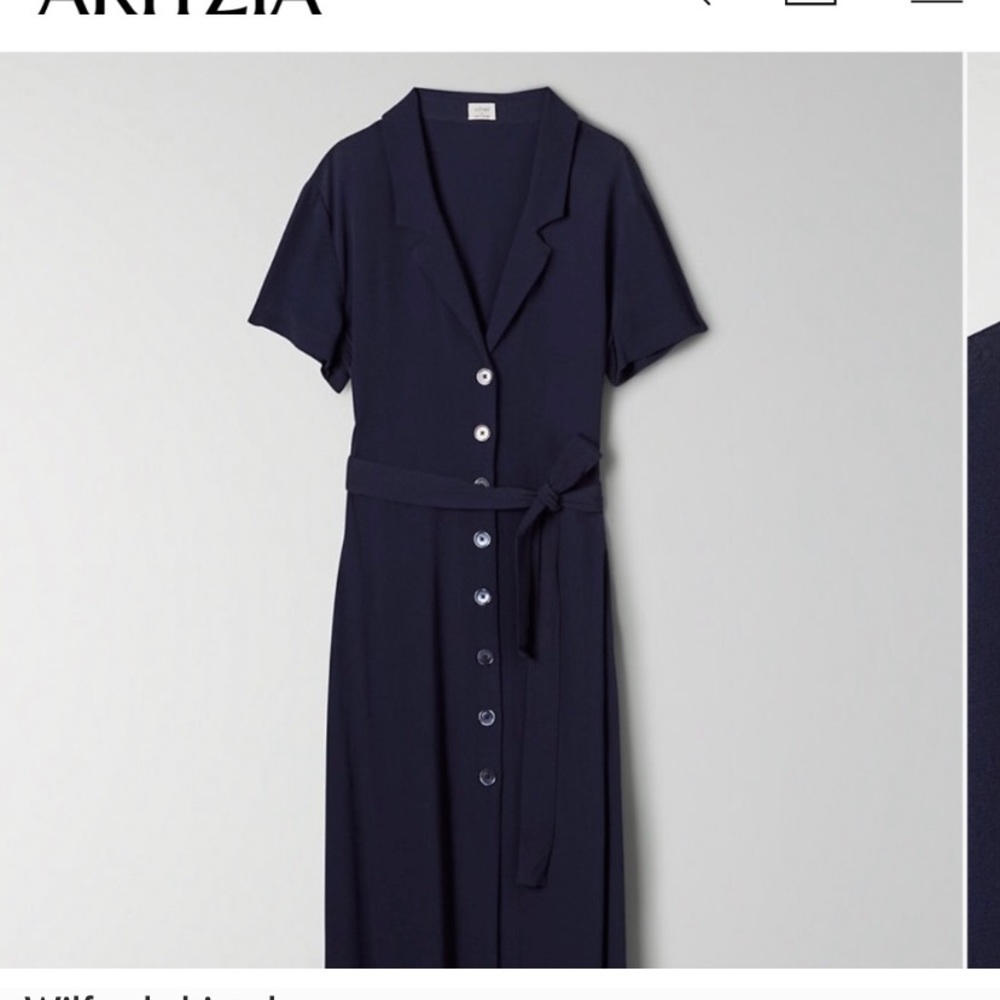 Aritzia classic black button down dress